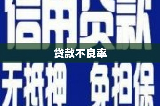 施甸贷款不良率