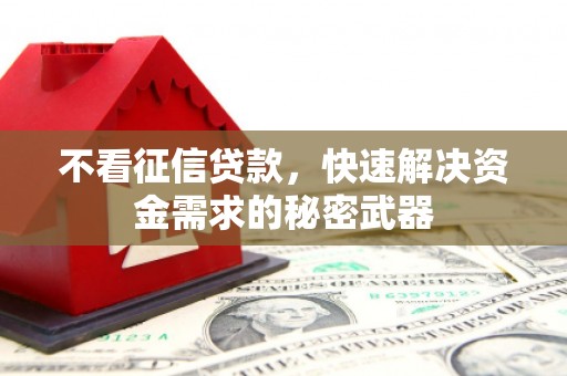 施甸不看征信贷款，快速解决资金需求的秘密武器