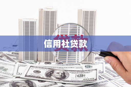 施甸信用社贷款