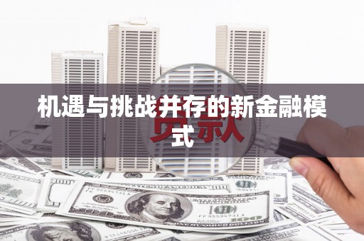 施甸机遇与挑战并存的新金融模式