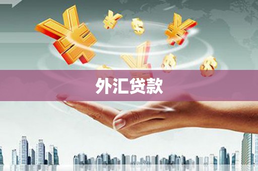 施甸外汇贷款