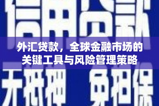 施甸外汇贷款，全球金融市场的关键工具与风险管理策略