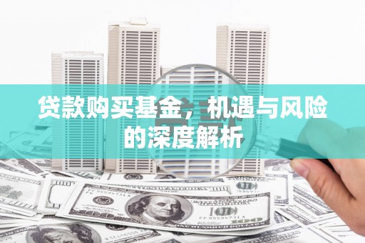 施甸贷款购买基金，机遇与风险的深度解析