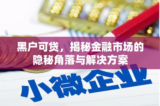 施甸黑户可贷，揭秘金融市场的隐秘角落与解决方案