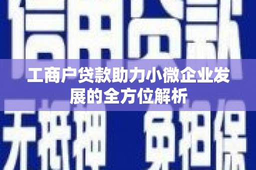 施甸工商户贷款助力小微企业发展的全方位解析