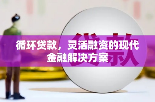 施甸循环贷款，灵活融资的现代金融解决方案