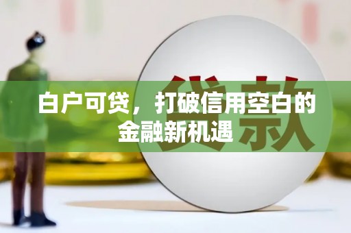 施甸白户可贷，打破信用空白的金融新机遇