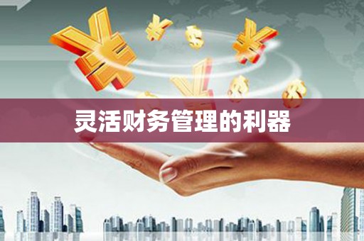 施甸灵活财务管理的利器