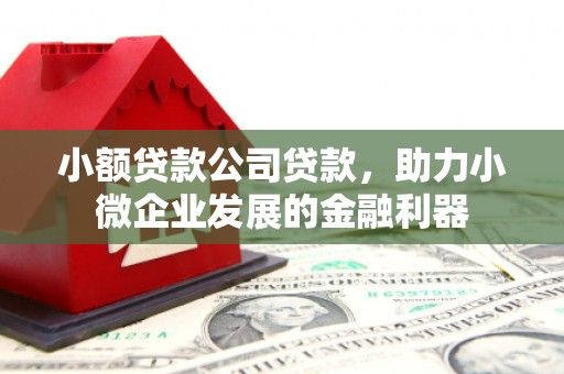 施甸小额贷款公司贷款，助力小微企业发展的金融利器