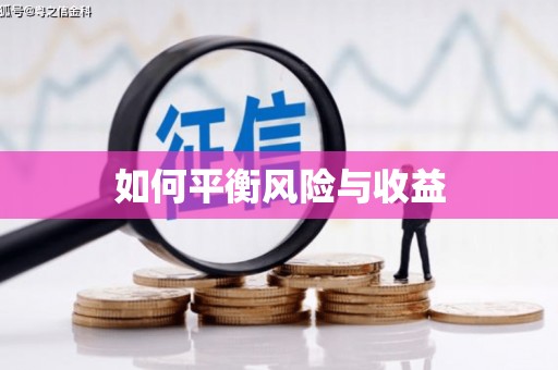 施甸如何平衡风险与收益
