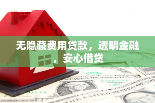 施甸无隐藏费用贷款，透明金融，安心借贷