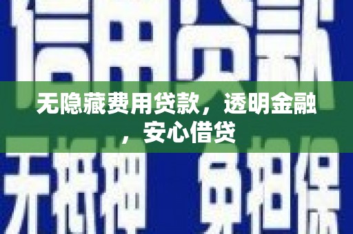 施甸无隐藏费用贷款，透明金融，安心借贷
