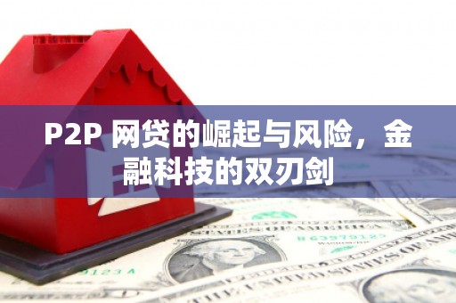 施甸P2P 网贷的崛起与风险，金融科技的双刃剑