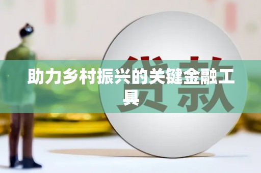 施甸助力乡村振兴的关键金融工具