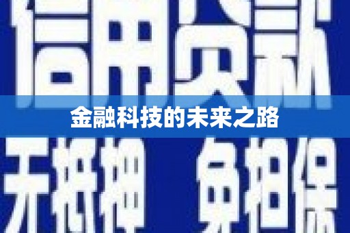 施甸金融科技的未来之路