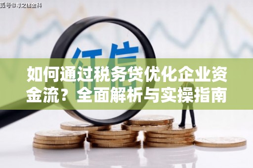 施甸如何通过税务贷优化企业资金流？全面解析与实操指南