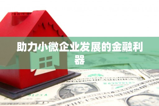 施甸助力小微企业发展的金融利器