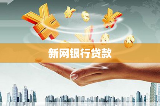 施甸新网银行贷款