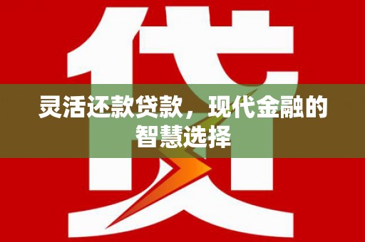 施甸灵活还款贷款，现代金融的智慧选择