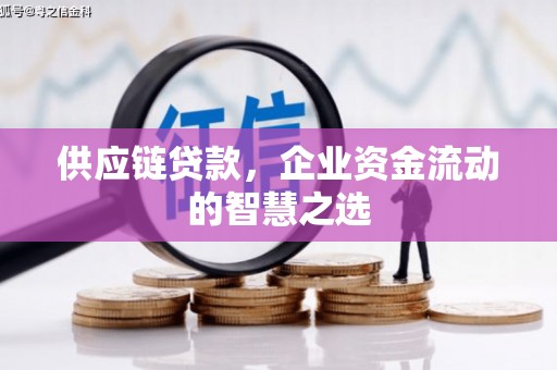 施甸供应链贷款，企业资金流动的智慧之选