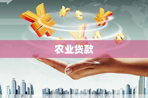 施甸农业贷款