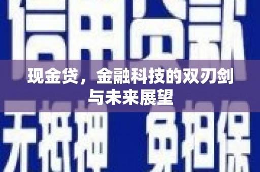 施甸现金贷，金融科技的双刃剑与未来展望