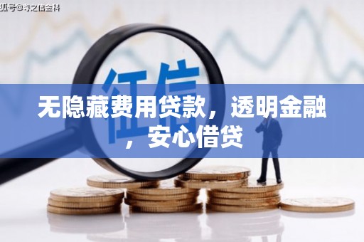 施甸无隐藏费用贷款，透明金融，安心借贷