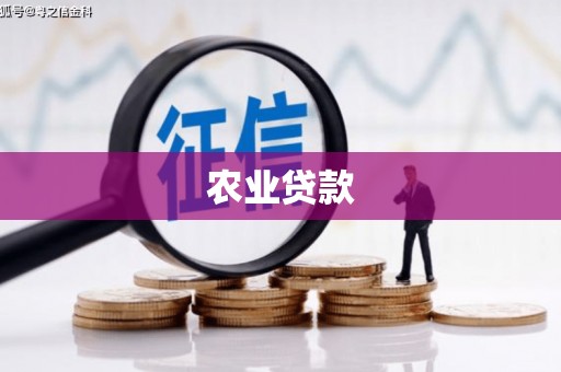 施甸农业贷款