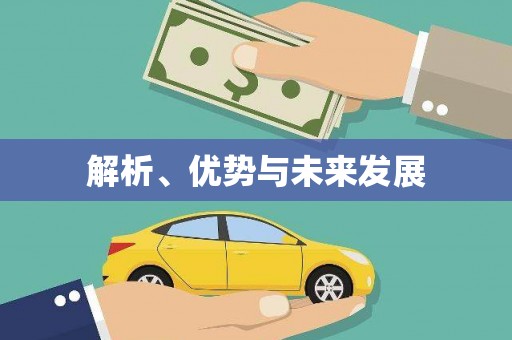 施甸解析、优势与未来发展