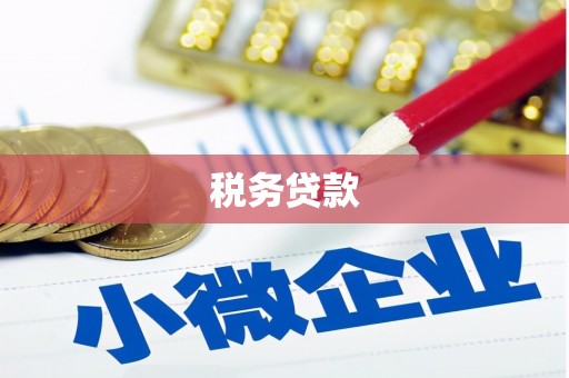 施甸税务贷款