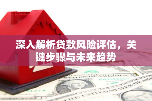 施甸深入解析贷款风险评估，关键步骤与未来趋势