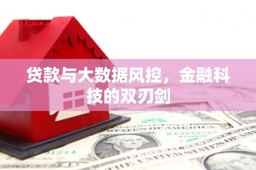 施甸贷款与大数据风控，金融科技的双刃剑