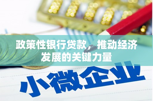 施甸政策性银行贷款，推动经济发展的关键力量