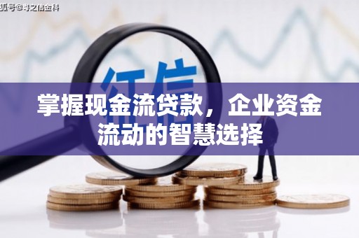 施甸掌握现金流贷款，企业资金流动的智慧选择