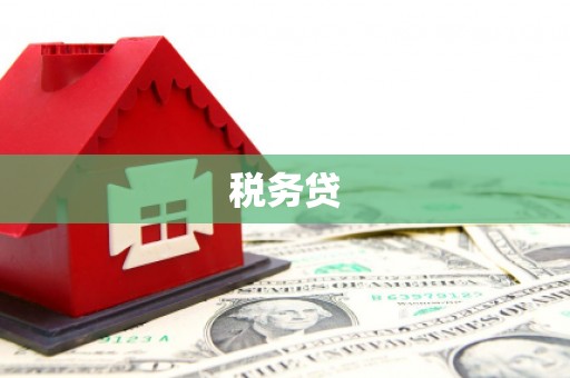 施甸税务贷