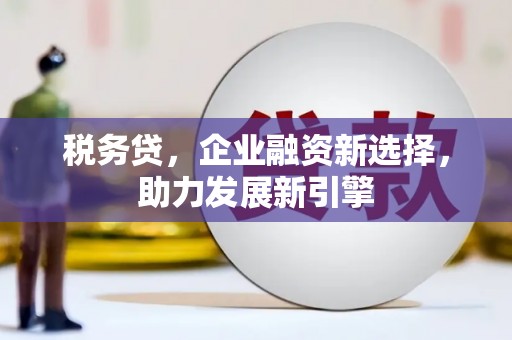 施甸税务贷，企业融资新选择，助力发展新引擎