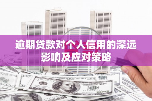 施甸逾期贷款对个人信用的深远影响及应对策略