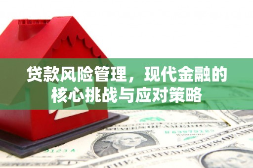 施甸贷款风险管理，现代金融的核心挑战与应对策略
