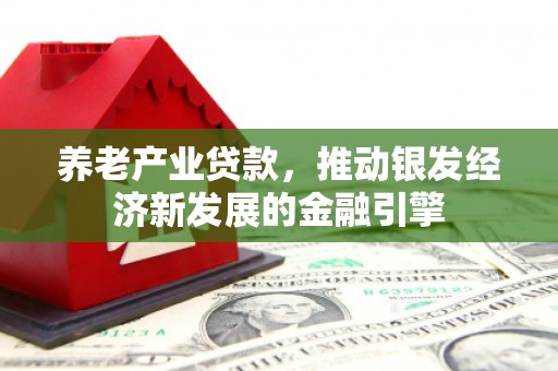施甸养老产业贷款，推动银发经济新发展的金融引擎