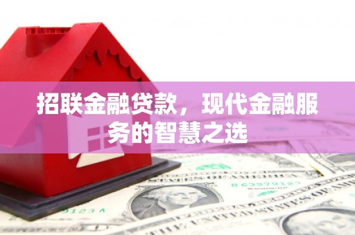施甸招联金融贷款，现代金融服务的智慧之选