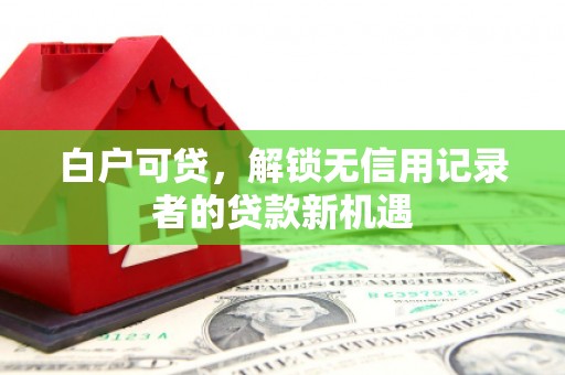 施甸白户可贷，解锁无信用记录者的贷款新机遇
