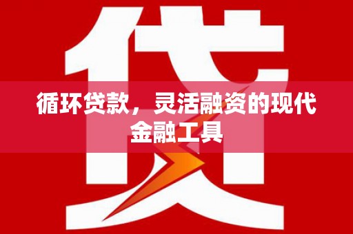 施甸循环贷款，灵活融资的现代金融工具