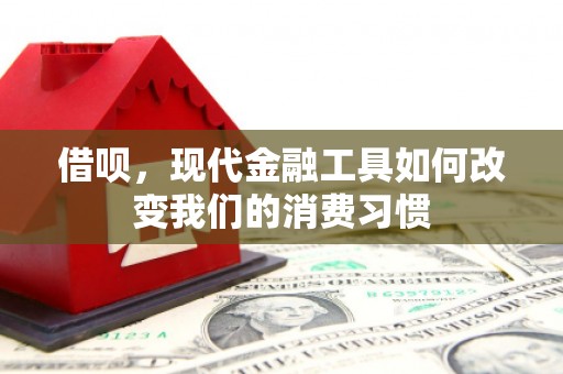 施甸借呗，现代金融工具如何改变我们的消费习惯