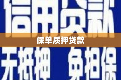 施甸保单质押贷款