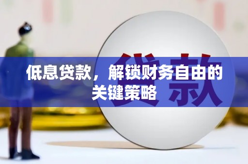 施甸低息贷款，解锁财务自由的关键策略