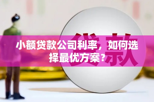 施甸小额贷款公司利率，如何选择最优方案？