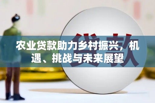 施甸农业贷款助力乡村振兴，机遇、挑战与未来展望
