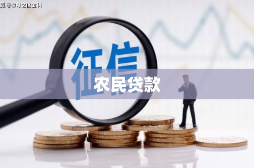 施甸农民贷款