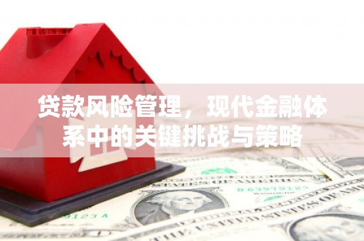 施甸贷款风险管理，现代金融体系中的关键挑战与策略