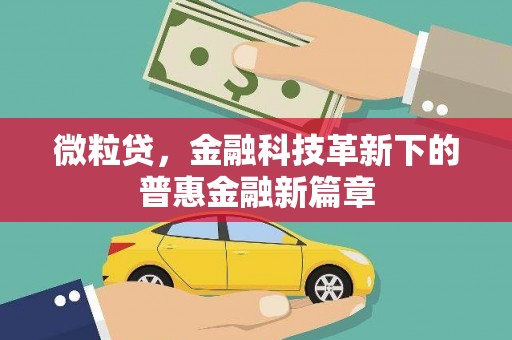 施甸微粒贷，金融科技革新下的普惠金融新篇章